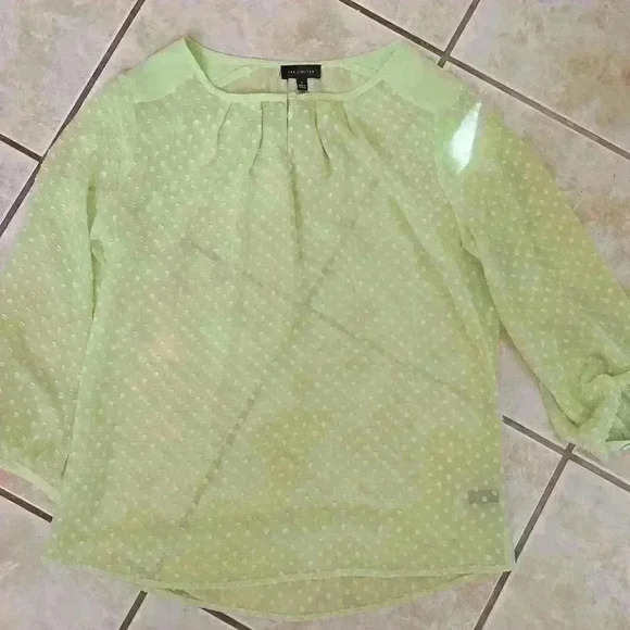 The Limited Tops - 🌻The Limited Polka Dot Sheer Shirt Green/Mint Black